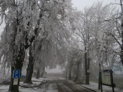 Sušský rybník, fotografie 5