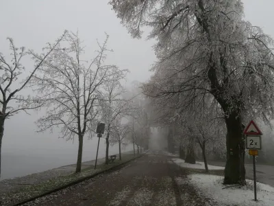 Sušský rybník, fotografie 6
