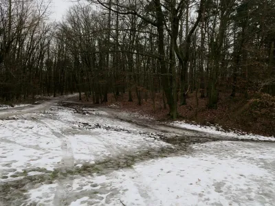 Lom Luleč - Hartlovka, fotografie 4