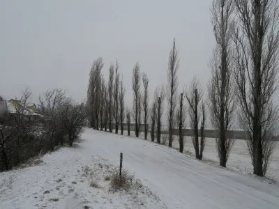 Lom Šošůvka, fotografie 112