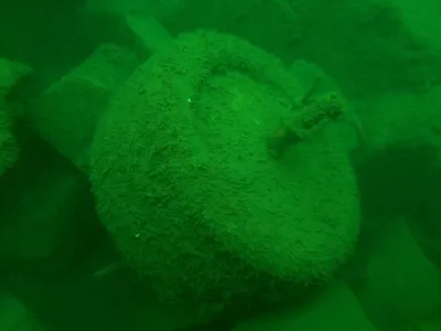 Lom Výkleky, fotografie 35