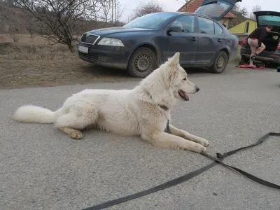 Lom Šošůvka, fotografie 99