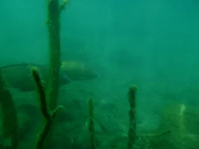 Lom Hostěradice, fotografie 220