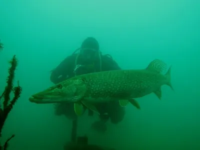Lom Hostěradice, fotografie 278