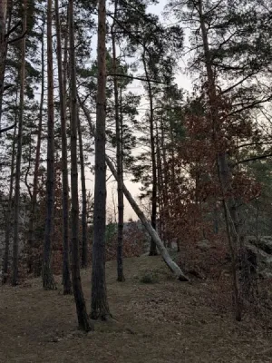 Dalešice - Lavičky, fotografie 9
