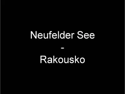 Neufelder See - Rakousko, fotografie 1