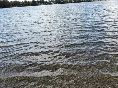 Neufelder See - Rakousko, fotografie 7