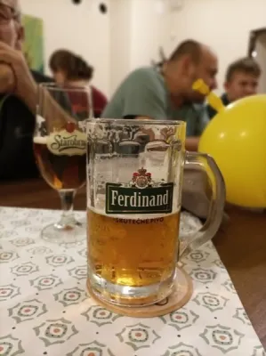Plazivá kačena, fotografie 115