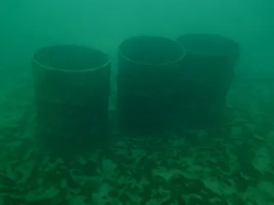 Silvestr lom Šošůvka, fotografie 103