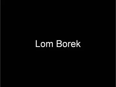 Lom Borek, fotografie 1