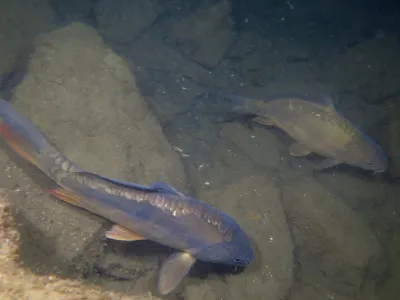 Lom Výkleky, fotografie 28