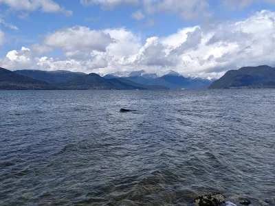 Vancouver - Kanada, fotografie 3