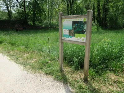 Jeskyně Emergence du Ressel, fotografie 54