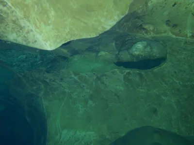 Jeskyně Fontaine de Truffe, fotografie 29