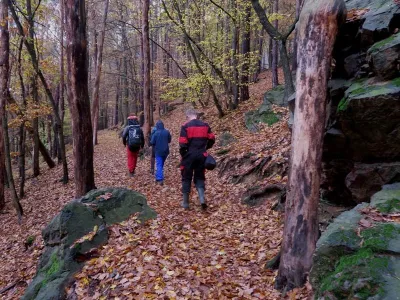 Plazivá kačena, fotografie 14