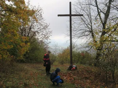 Plazivá kačena, fotografie 38
