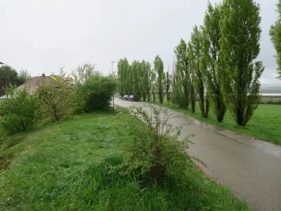 Lom Šošůvka, fotografie 132
