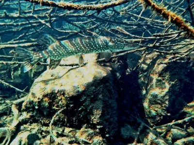 Lom Hostěradice, fotografie 228