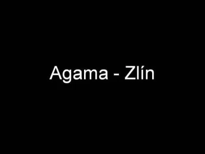 Agama - Zlín, fotografie 1