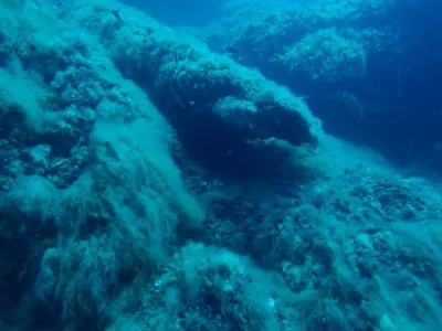 Elba - Madona, fotografie 37