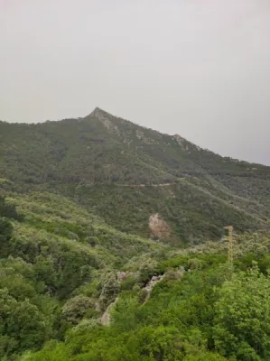Elba - Monte Capanne, fotografie 5