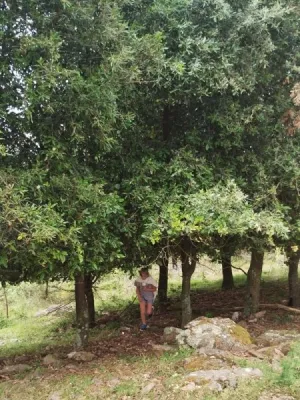 Elba - Monte Perone, fotografie 15