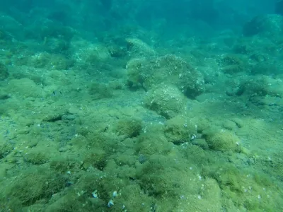 Elba - pláž Terranera, fotografie 9