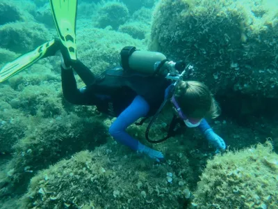 Elba - pláž Terranera, fotografie 46