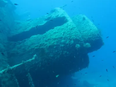 Elba - Pomonte, fotografie 22