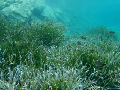 Elba - Sant´ Andrea, fotografie 40