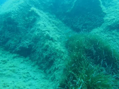 Elba - Sant´ Andrea, fotografie 66