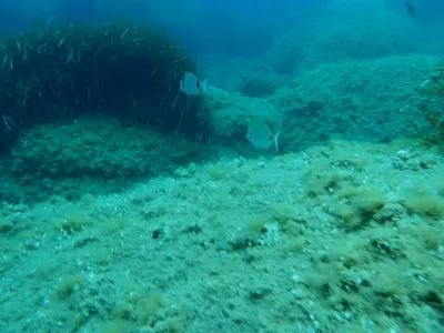 Elba - Sant´ Andrea, fotografie 68
