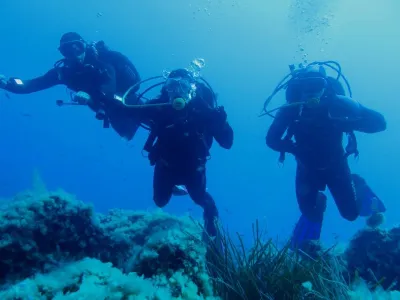 Elba- Corallina Interna, fotografie 6