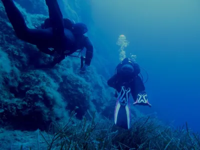 Elba- Corallina Interna, fotografie 12
