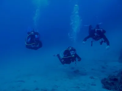 Elba- Corallina Interna, fotografie 15