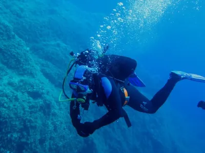 Elba- Corallina Interna, fotografie 22