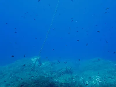 Elba- Corallina Interna, fotografie 24