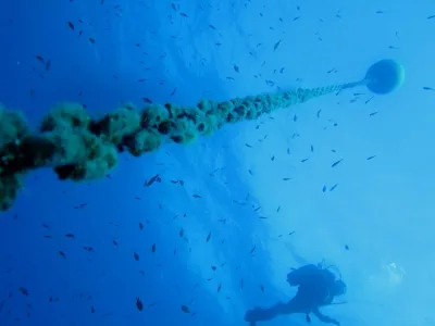 Elba- Corallina Interna, fotografie 25
