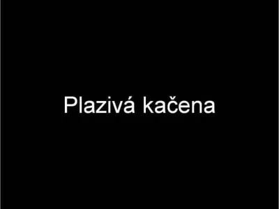 Plazivá kačena, fotografie 1