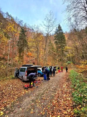 Plazivá kačena, fotografie 4