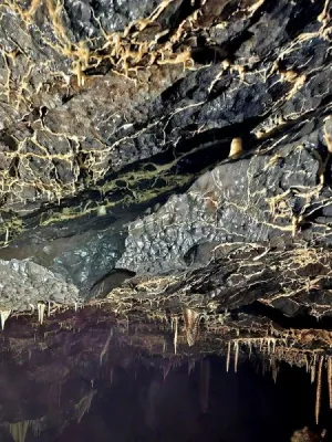 Plazivá kačena, fotografie 21