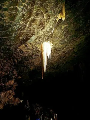 Plazivá kačena, fotografie 33