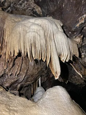 Plazivá kačena, fotografie 37