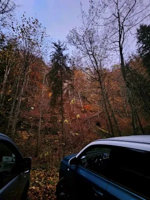 Plazivá kačena, fotografie 41