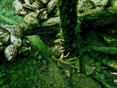 Lom Hostěradice, fotografie 67