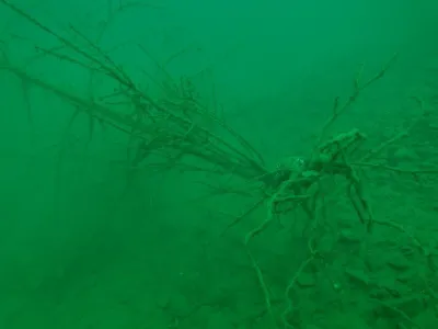 Lom Hostěradice, fotografie 107