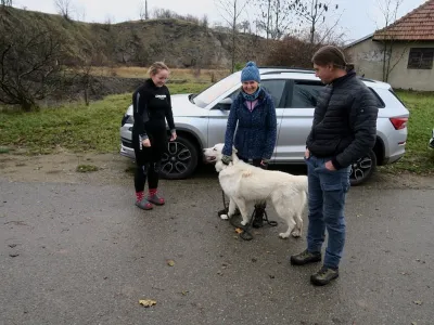 Lom Šošůvka, fotografie 201
