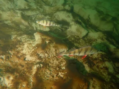 Lom Šošůvka, fotografie 303