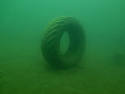 Lom Borek, fotografie 11