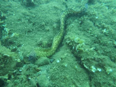 Elba - Itálie, fotografie 165